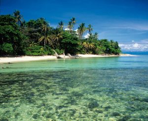 Paradise in Bocas del Toro beach shore