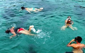 Snorkeling in Bocas del Toro 