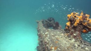 The Reck Diving Center Bocas del Toro